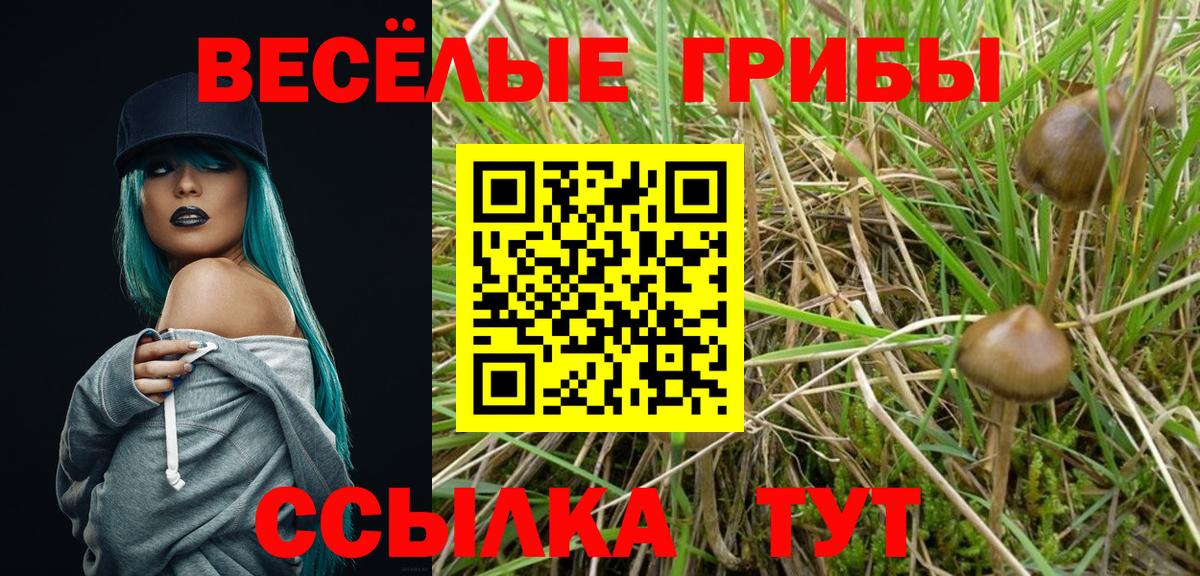 Псилоцибиновые грибы прущие грибы Черногорск
