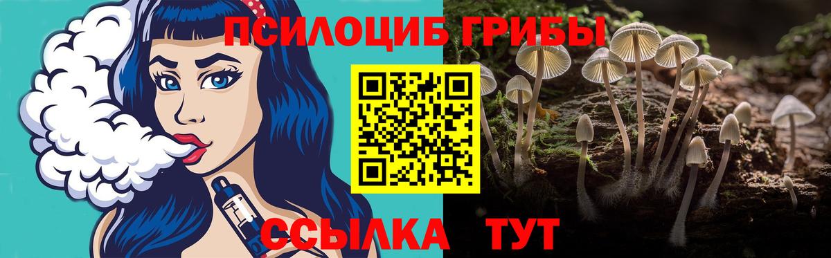 Черногорск  Псилоцибиновые грибы ЛСД  Псилоцибиновые грибы Cubensis  Вход с VPN 
